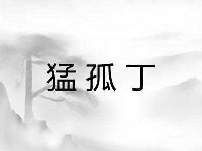 猛孤丁