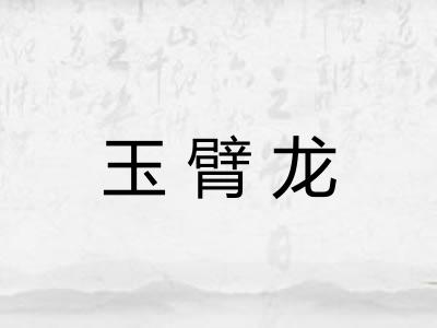 玉臂龙