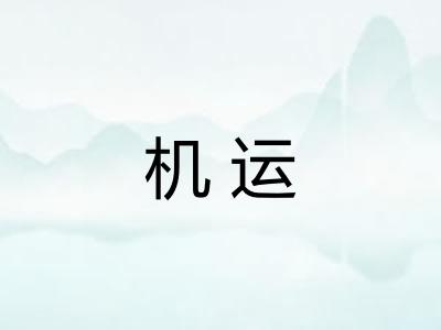 机运