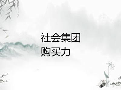 社会集团购买力