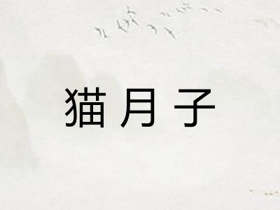 猫月子