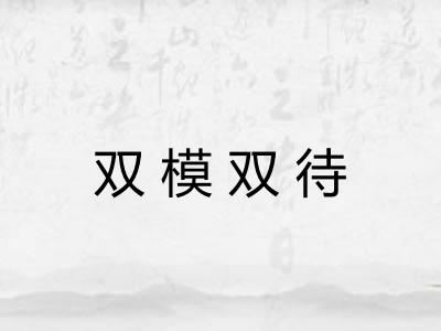 双模双待