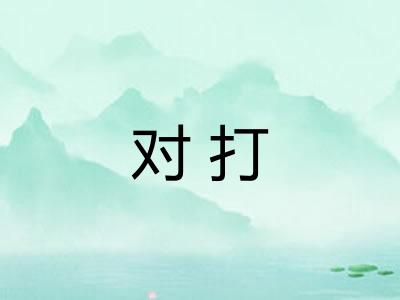 对打