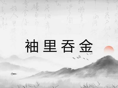 袖里吞金