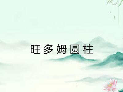旺多姆圆柱