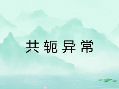 共轭异常