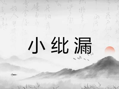 小纰漏