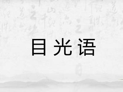 目光语