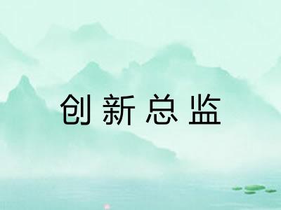 创新总监