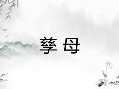 孳母