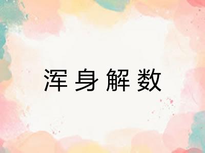 浑身解数