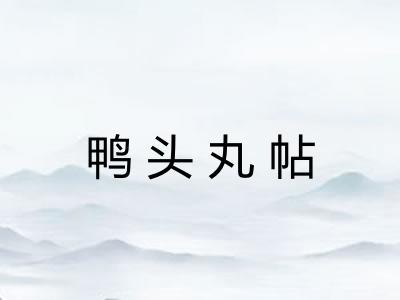 鸭头丸帖