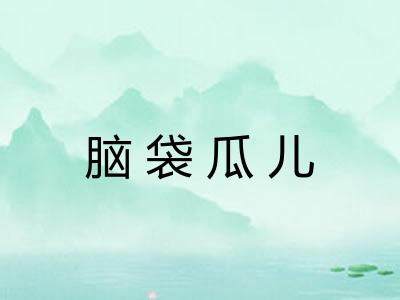 脑袋瓜儿