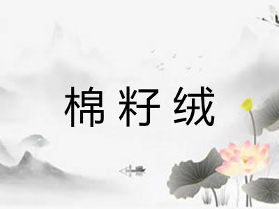 棉籽绒