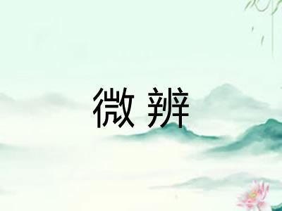 微辨