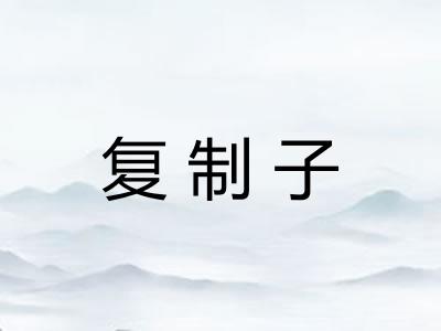 复制子
