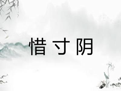 惜寸阴