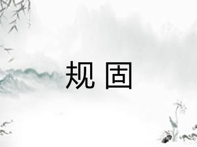 规固