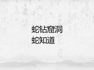 蛇钻窟洞蛇知道