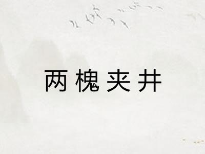 两槐夹井