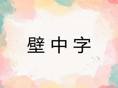壁中字