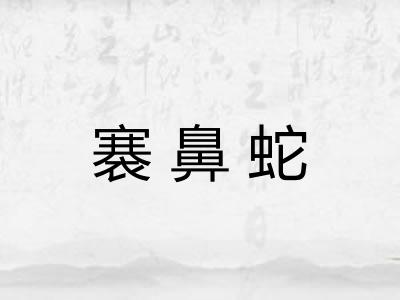 褰鼻蛇