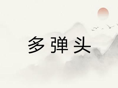 多弹头