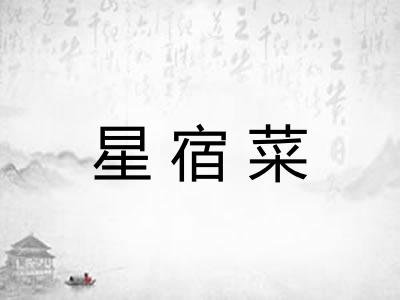 星宿菜