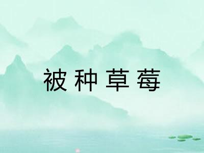 被种草莓