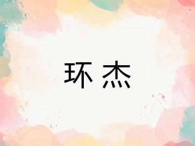 环杰