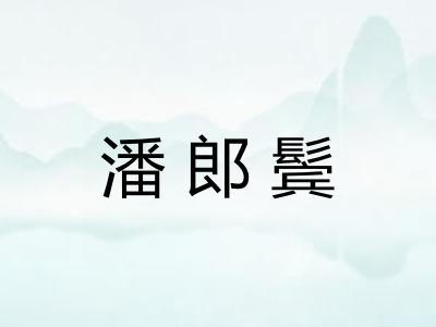 潘郎鬓