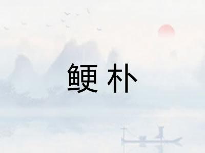 鲠朴