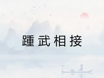 踵武相接