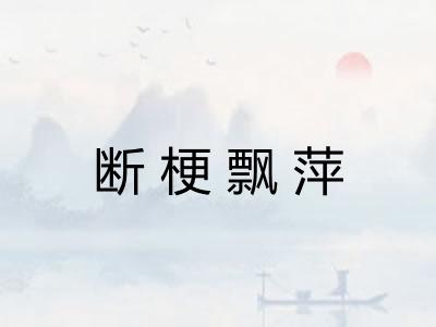 断梗飘萍