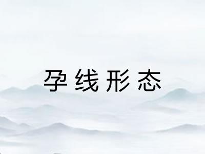 孕线形态