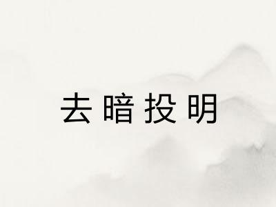 去暗投明