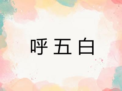 呼五白