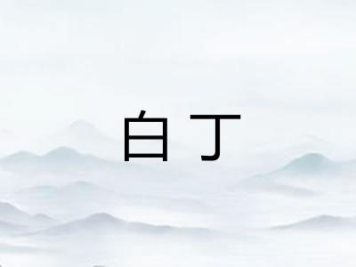 白丁