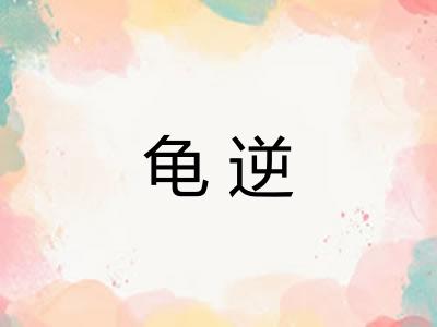 龟逆