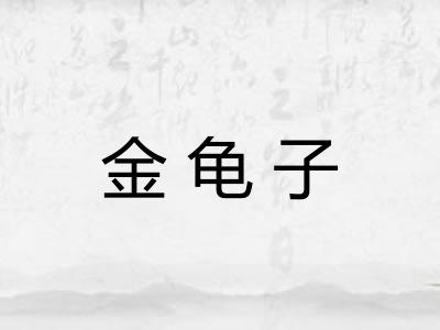 金龟子