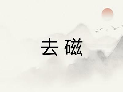 去磁