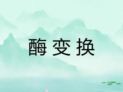 酶变换