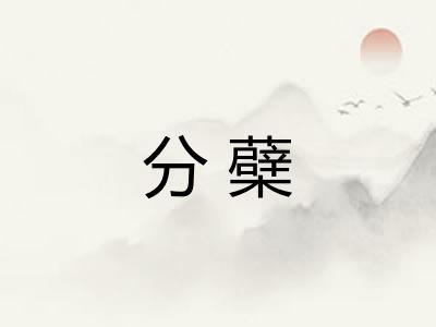 分蘗