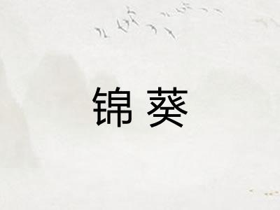 锦葵