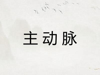 主动脉