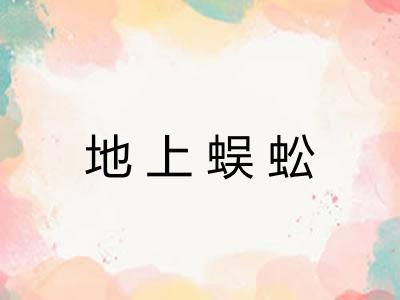 地上蜈蚣