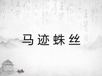 马迹蛛丝