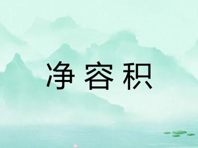 净容积