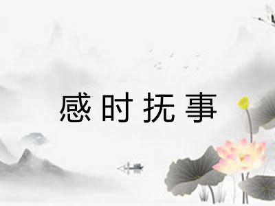 感时抚事