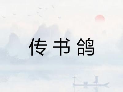 传书鸽